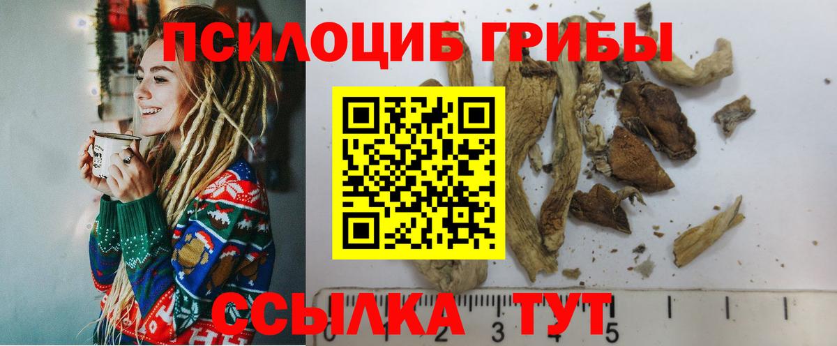 Галлюциногенные грибы прущие грибы Гусь-Хрустальный