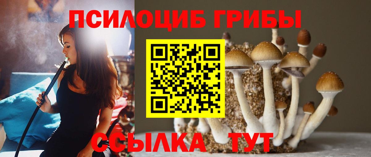 Гусь-Хрустальный  Галлюциногенные грибы прущие грибы  Вход с VPN 